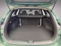 Kia Ceed SW / cee'd SW CEEDSW/SILBER/UVO/1.0 TGDI/MT6/100/P2 Grün - thumbnail 20