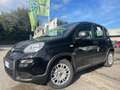 Fiat Panda Panda 1.0 firefly hybrid s KM 0 Zwart - thumbnail 2