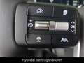 Hyundai SANTA FE 1.6 T-GDI Hybrid INTRO 4WD Weiß - thumbnail 18