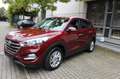 Hyundai TUCSON Premium 4WD~NAVI~LEDER~KAMERA~1 HAND Rouge - thumbnail 1