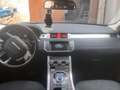 Rover Rover Lange Rover Evoque - thumbnail 7