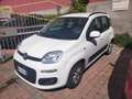 Fiat Panda Panda 1.3 mjt 16v Lounge s Bianco - thumbnail 1