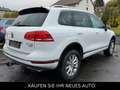 Volkswagen Touareg V6 TDi4Motion*AHK*Klima*wenig KM* Weiß - thumbnail 6