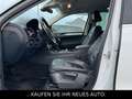 Volkswagen Touareg V6 TDi4Motion*AHK*Klima*wenig KM* Weiß - thumbnail 8