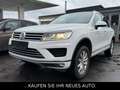 Volkswagen Touareg V6 TDi4Motion*AHK*Klima*wenig KM* Weiß - thumbnail 1