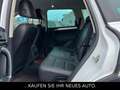 Volkswagen Touareg V6 TDi4Motion*AHK*Klima*wenig KM* Weiß - thumbnail 9