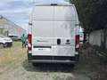 Fiat Ducato E- 35Q LH3 122CV BATTERY 79kWh Bianco - thumbnail 4