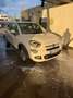 Fiat 500X 1.4 m-air Pop Star 4x2 140cv Weiß - thumbnail 4