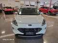 Ford Kuga 1.5 ecoblue Titanium 2wd 120cv OK NEOPATENTATI Bianco - thumbnail 2