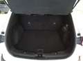 Ford Kuga 1.5 ecoblue Titanium 2wd 120cv OK NEOPATENTATI Bianco - thumbnail 12