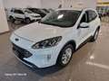 Ford Kuga 1.5 ecoblue Titanium 2wd 120cv OK NEOPATENTATI Bianco - thumbnail 1