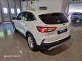 Ford Kuga 1.5 ecoblue Titanium 2wd 120cv OK NEOPATENTATI Bianco - thumbnail 15
