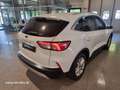 Ford Kuga 1.5 ecoblue Titanium 2wd 120cv OK NEOPATENTATI Blanc - thumbnail 16
