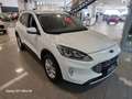 Ford Kuga 1.5 ecoblue Titanium 2wd 120cv OK NEOPATENTATI Bianco - thumbnail 3