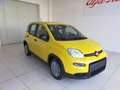 Fiat Panda 1.0 FireFly S&S Hybrid NUOVA Blau - thumbnail 3