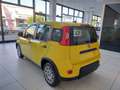 Fiat Panda 1.0 FireFly S&S Hybrid NUOVA Blau - thumbnail 6