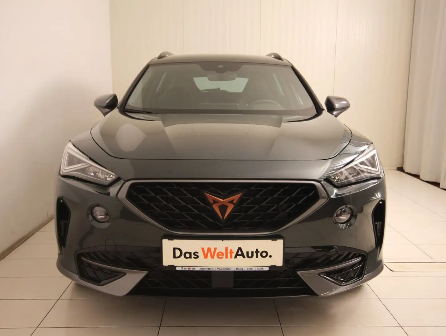 CUPRA Formentor VZ 2.0 TSI 245 PS DSG Grün - 2