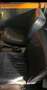 Triumph Herald Rot - thumbnail 5