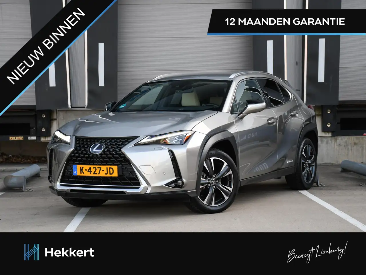 Lexus UX 250h