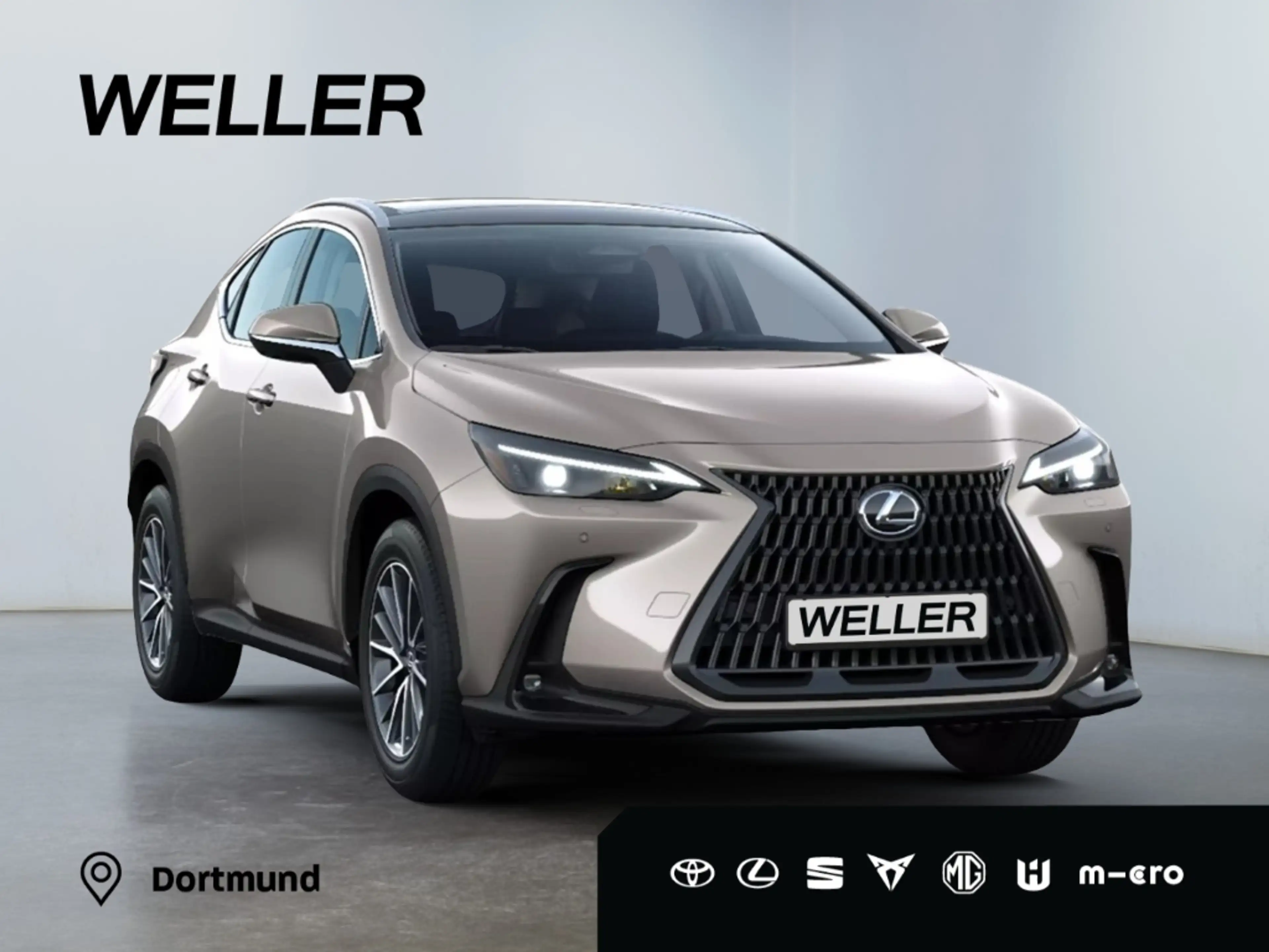 Lexus NX 450h+ 2,5l , Plug-in Hybrid 5-Türer ADVANTAG — photo 12