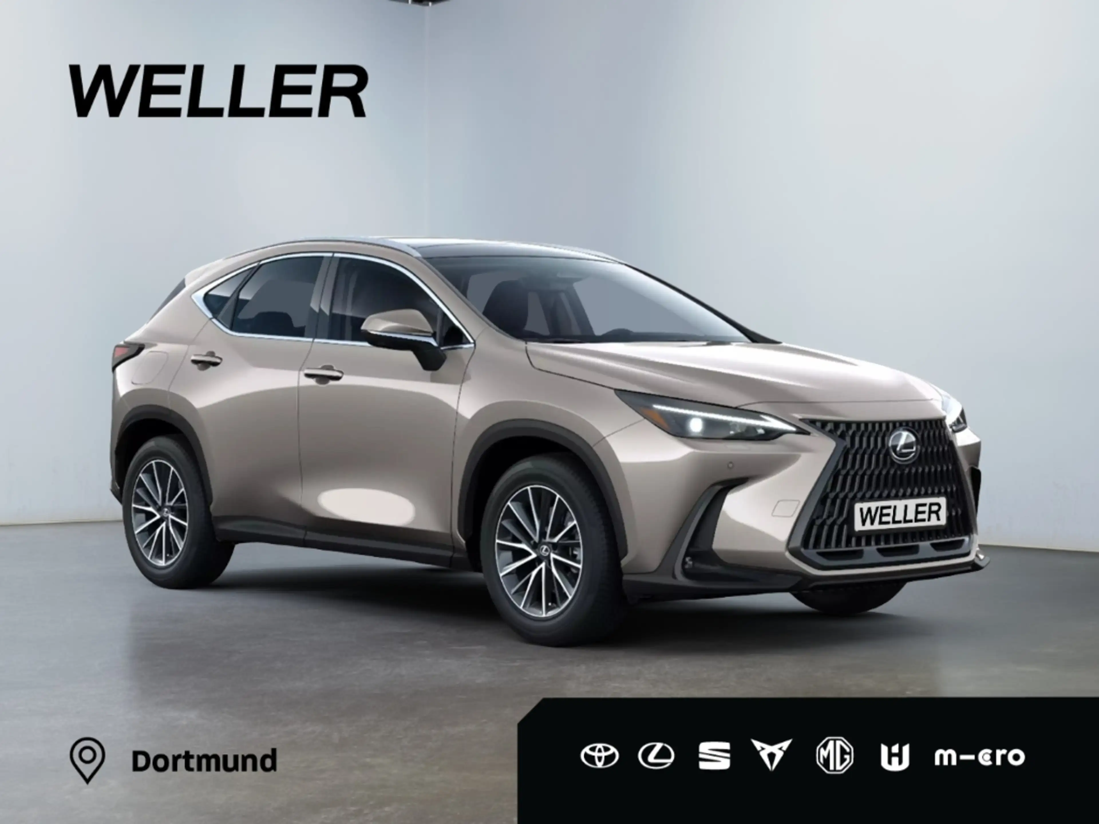 Lexus NX 450h+ 2,5l , Plug-in Hybrid 5-Türer ADVANTAG — photo 11