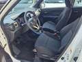 Suzuki Ignis 1.2 4WD TOP HYBRID Bianco - thumbnail 9