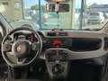Fiat Panda Panda 1.0 FireFly S&S Hybrid Red Bronze - thumbnail 12