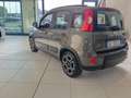 Fiat Panda Panda 1.0 FireFly S&S Hybrid Red Bronze - thumbnail 6