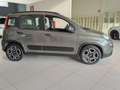 Fiat Panda Panda 1.0 FireFly S&S Hybrid Red Bronze - thumbnail 5