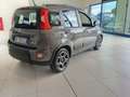 Fiat Panda Panda 1.0 FireFly S&S Hybrid Red Bronze - thumbnail 7