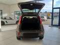 Fiat Panda Panda 1.0 FireFly S&S Hybrid Red Bronze - thumbnail 9