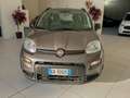 Fiat Panda Panda 1.0 FireFly S&S Hybrid Red Bronze - thumbnail 3