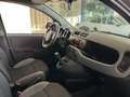 Fiat Panda Panda 1.0 FireFly S&S Hybrid Red Bronze - thumbnail 14