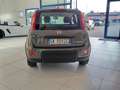 Fiat Panda Panda 1.0 FireFly S&S Hybrid Red Bronze - thumbnail 8