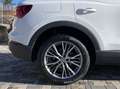 Audi Q3 40 TDI QUATTRO S TRONIC Bianco - thumbnail 8