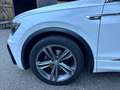 Volkswagen Tiguan Tiguan 2,0 TDI SCR Highline DSG Highline Weiß - thumbnail 7
