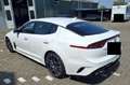 Kia Stinger GT 4WD LED+ ACC+S. Memory Kam 4xSiHz 19" Weiß - thumbnail 4