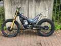 Montesa Cota 301 RR Grau - thumbnail 2