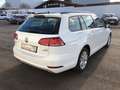 Volkswagen Golf 1.4 TGI Comfortline DSG *Sitzheizung*PDC Blanc - thumbnail 9