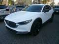 Mazda CX-30 CX-30 2.0 m-hybrid Homura 2wd 150cv 6at Weiß - thumbnail 1