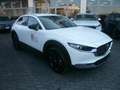 Mazda CX-30 CX-30 2.0 m-hybrid Homura 2wd 150cv 6at Weiß - thumbnail 2