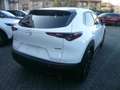 Mazda CX-30 CX-30 2.0 m-hybrid Homura 2wd 150cv 6at Weiß - thumbnail 3