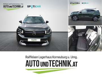 Elektro 113PS Automatik MAX