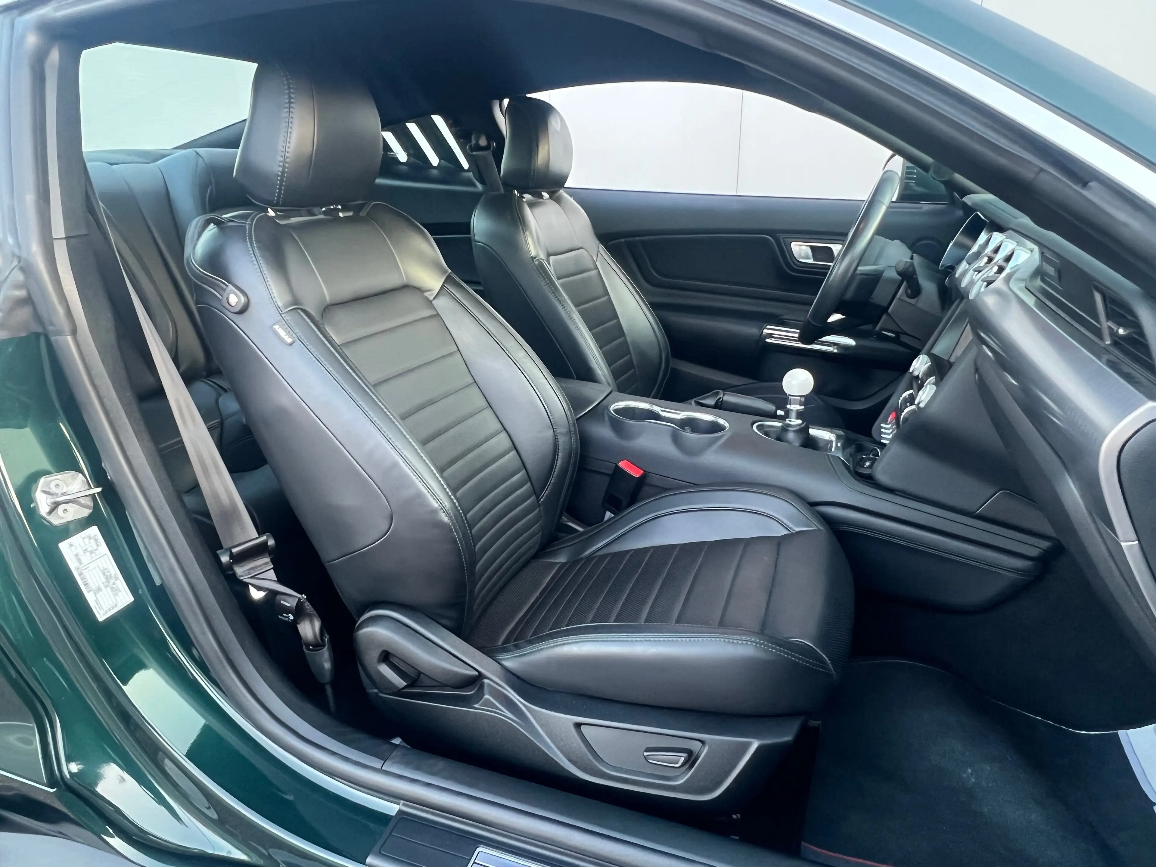 Ford Mustang Mustang 5.0 Ti-VCT V8 GT Bullit (EU6.2) — photo 13