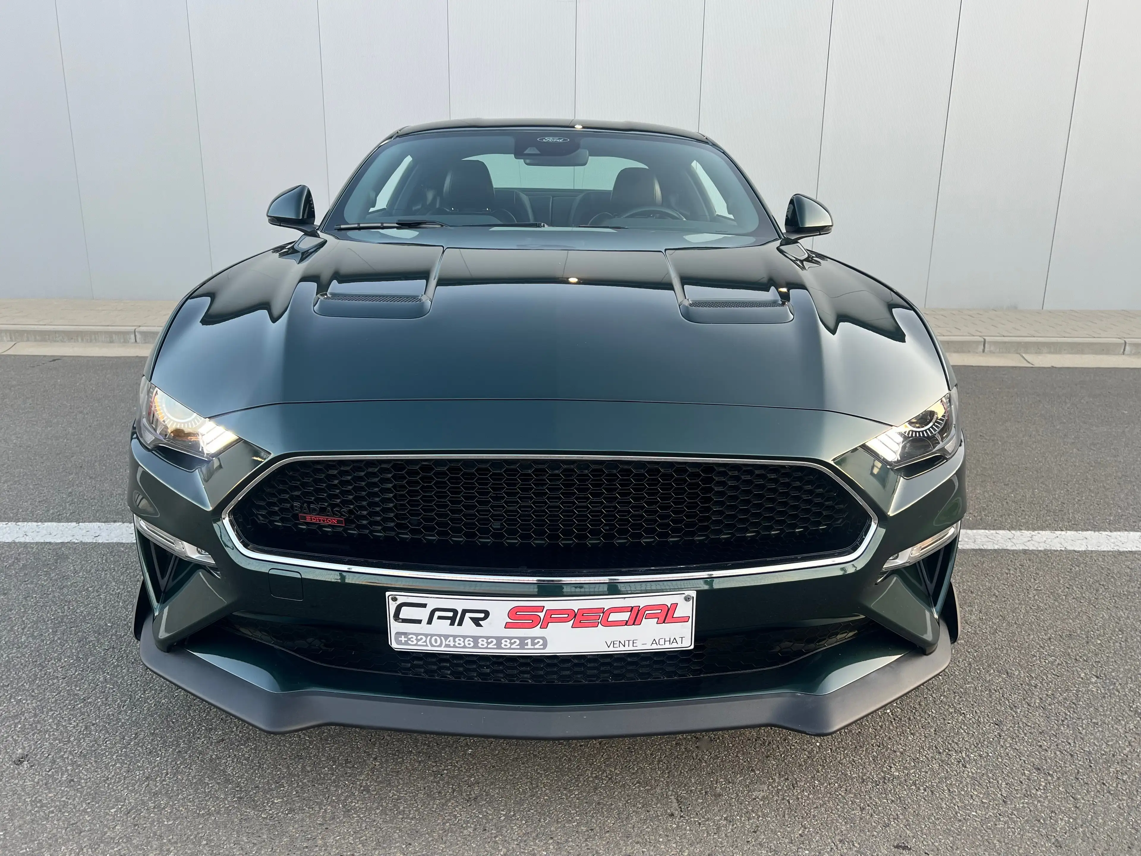 Ford Mustang Mustang 5.0 Ti-VCT V8 GT Bullit (EU6.2) — photo 8