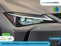 Lexus UX 250h Business 2WD Серебристый - thumbnail 12