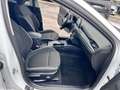 Ford Focus 1.5 EcoBlue 120 CV automatico SW Business Blanco - thumbnail 7