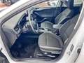 Ford Focus 1.5 EcoBlue 120 CV automatico SW Business Blanco - thumbnail 5