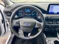 Ford Focus 1.5 EcoBlue 120 CV automatico SW Business Blanco - thumbnail 14