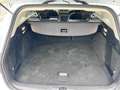 Ford Focus 1.5 EcoBlue 120 CV automatico SW Business Blanco - thumbnail 8